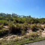 WhatsApp Image 2026-03-18 at 19.22.06 (1)