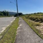 WhatsApp Image 2026-03-18 at 19.22.06