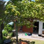 WhatsApp Image 2026-02-06 at 13.14.25 (2)