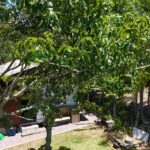 WhatsApp Image 2026-02-06 at 13.14.25 (3)