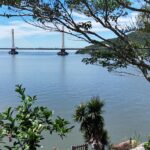 WhatsApp Image 2026-02-06 at 13.14.25 (4)