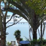 WhatsApp Image 2026-02-06 at 13.14.26