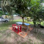 WhatsApp Image 2026-02-09 at 19.59.46