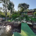 WhatsApp Image 2026-02-19 at 19.48.11 (1)