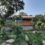 WhatsApp Image 2026-02-19 at 19.48.11 (2)