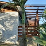 WhatsApp Image 2026-02-19 at 19.48.11